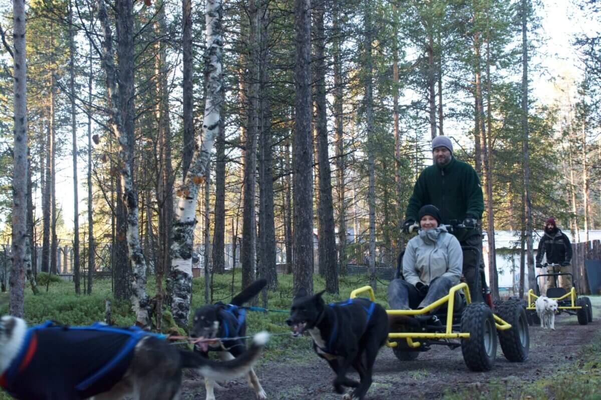 Husky Cart tour Husky Cart Tour Summer and autumn kiruna